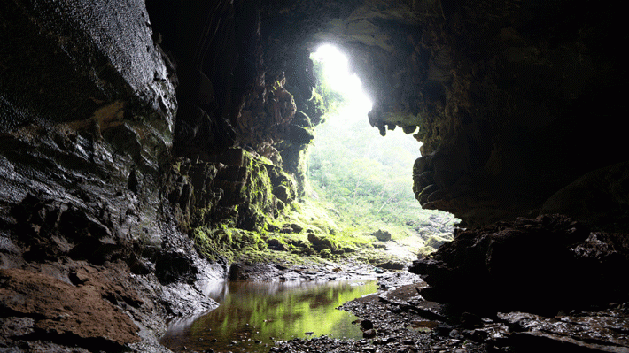 Tour Thám Hiểm Phong Nha 3N2D: Chinh Phục Hệ Thống Hang Hổ